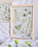  Solace Dried Flower Wooden Frame 