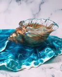  Khay Phụ Kiện Trang Trí Hình Dáng Vỏ Ốc 