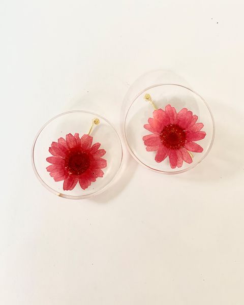  Daisy Cirkle Earrings 