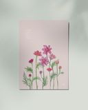  Cosmos 