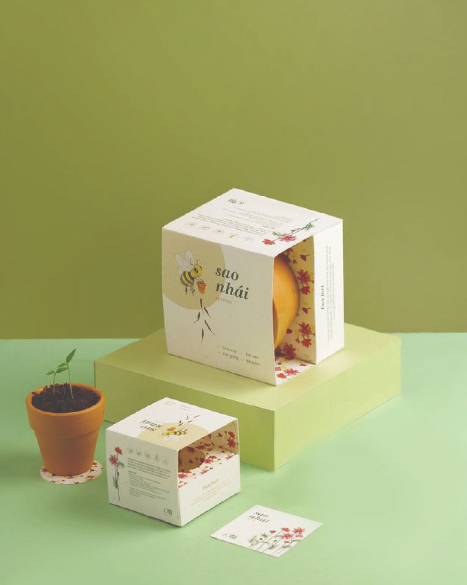  Growing Kit - Kit trồng cây mini 