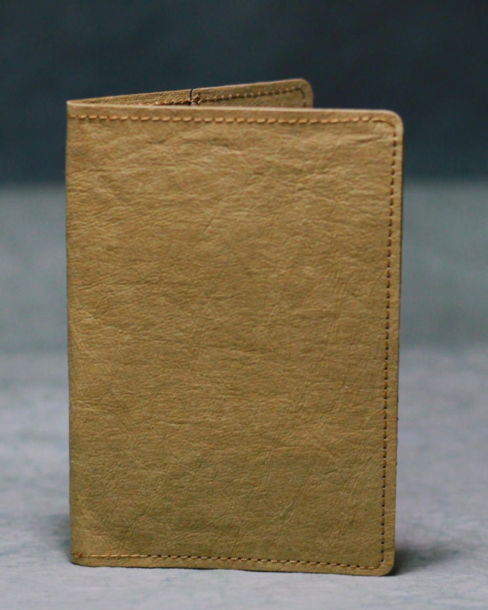  Passport Holder 