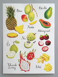  Fruit Posters 