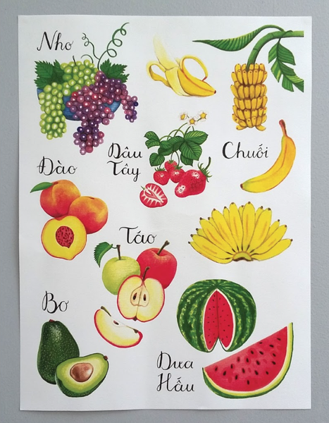  Fruit Posters 