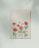  Dahlia 