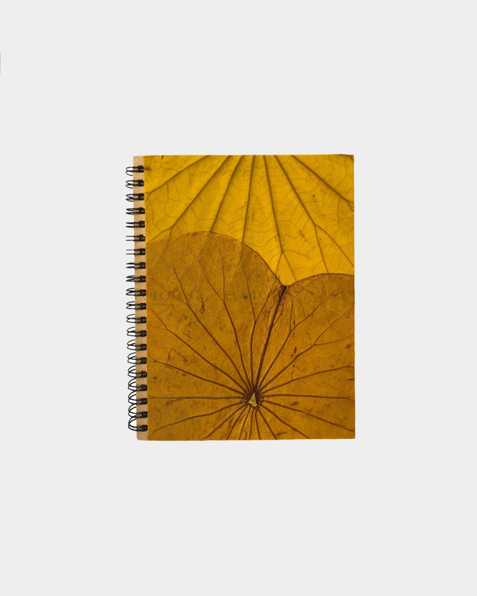  Ecolotus Leaves Notebook - Sổ Tay Lá Sen 