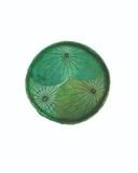  Ecolotus Leaves Flat Basket 