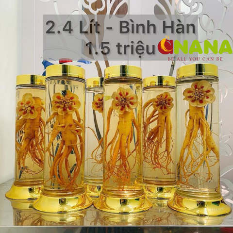  BÌNH RƯỢU SÂM PHÚ HÒA 2.4 LIT 