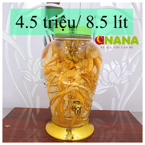  BÌNH RƯỢU SÂM PHÚ HÒA 8.5 LIT 