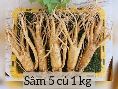  Sâm 5 củ 1kg - Nhân Sâm tươi Hàn Quốc 