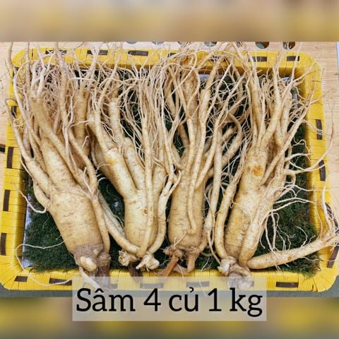  Sâm 4 củ 1kg - Nhân Sâm tươi Hàn Quốc 