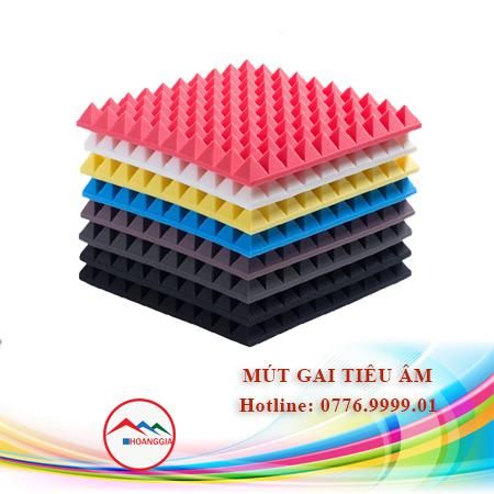 KHO MÚT GAI TIÊU ÂM TẠI TPHCM