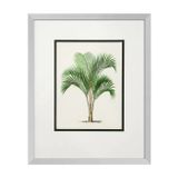  PRINTS PALMS SET OF 4 