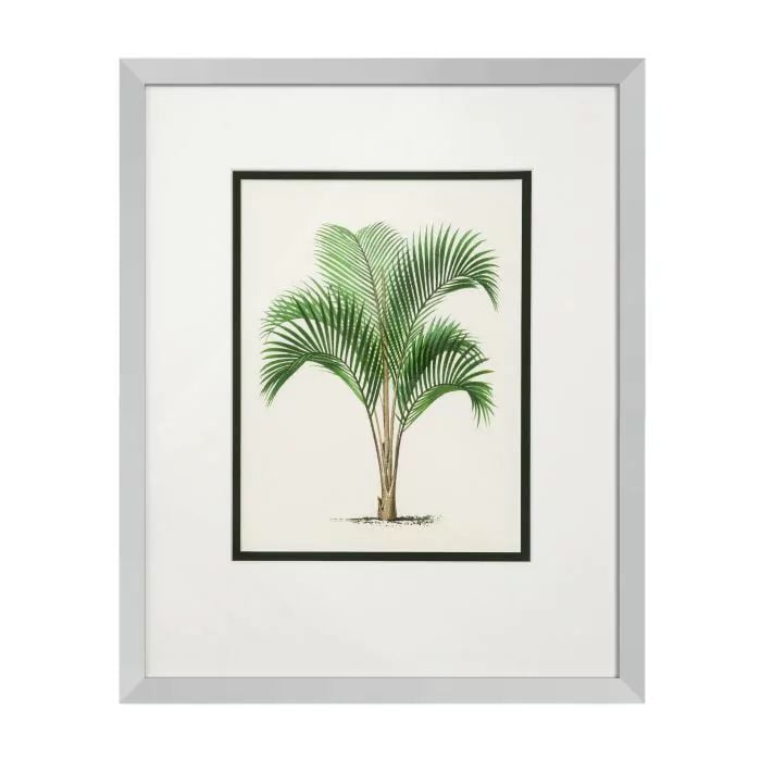  PRINTS PALMS SET OF 4 