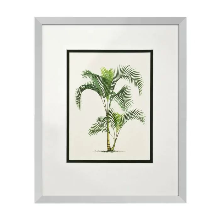  PRINTS PALMS SET OF 4 