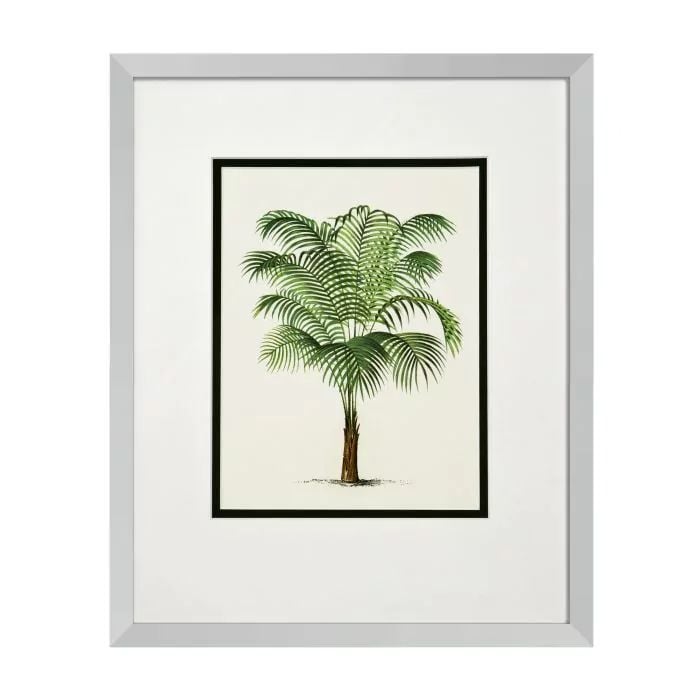  PRINTS PALMS SET OF 4 