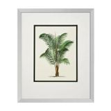  PRINTS PALMS SET OF 4 