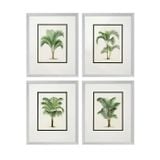  PRINTS PALMS SET OF 4 