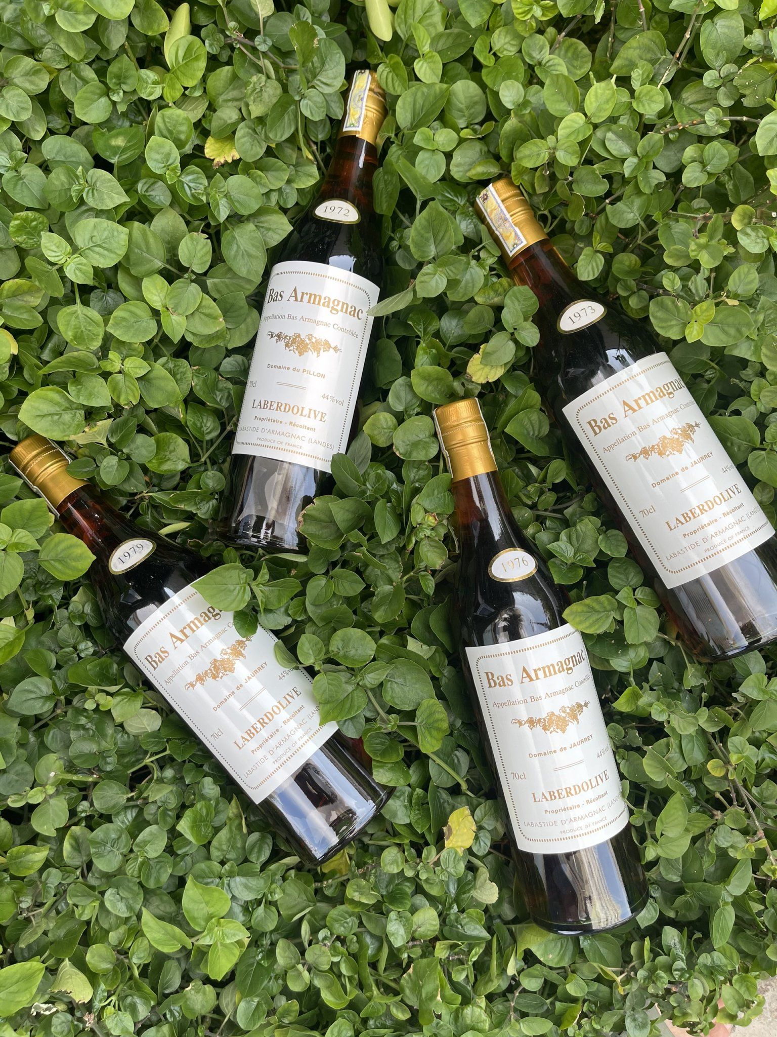  Rượu Domaine De Jaurrey 