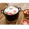 Nồi Sứ Bếp Từ ROYALCOOKS SANTA ROSA IHRC-SR2011