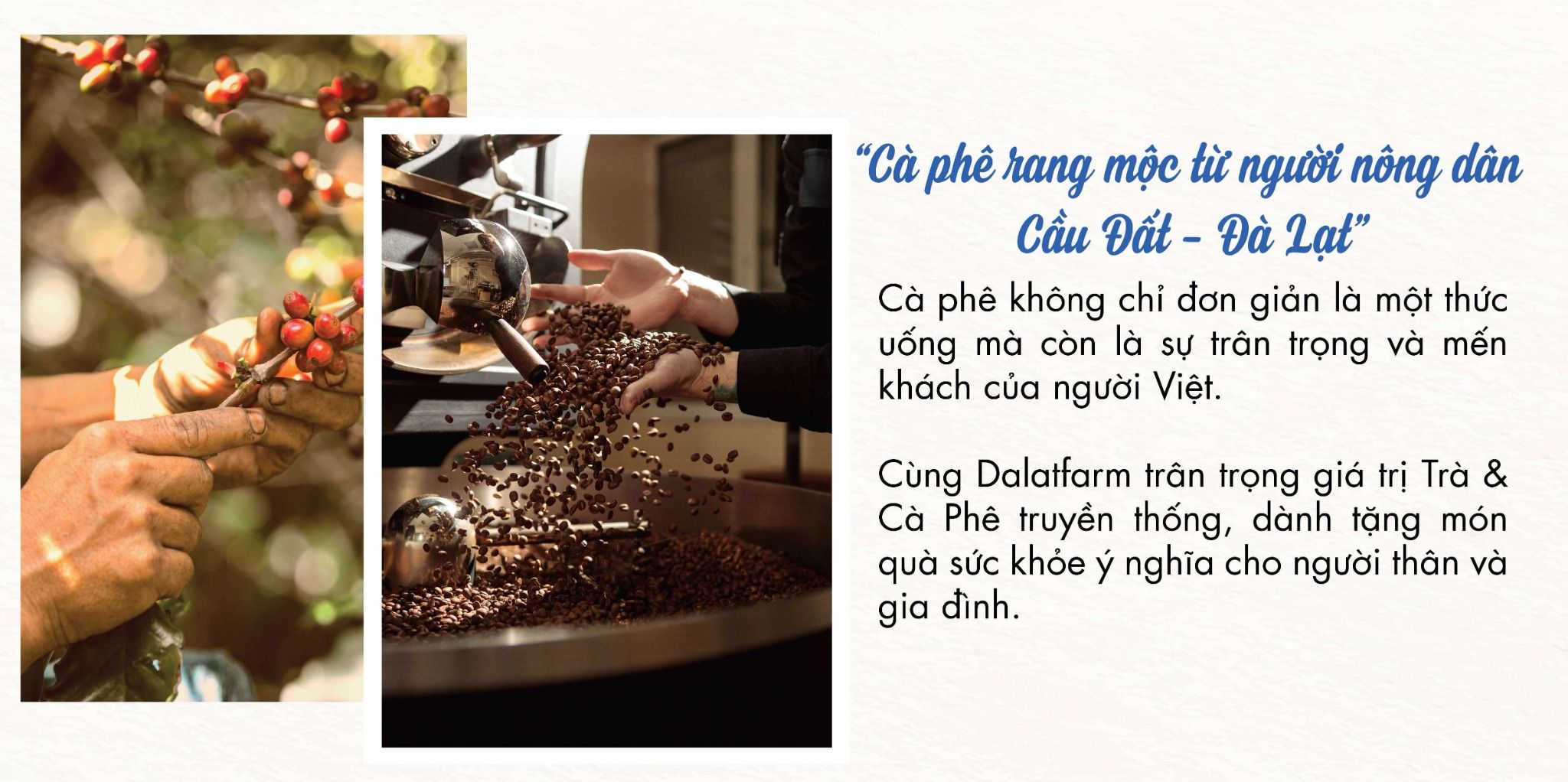  Hộp Quà Cà Phê Cầu Đất (Arabica - Robusta - Phin) 