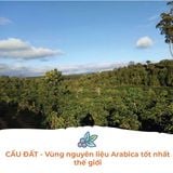  Cà Phê Arabica Cầu Đất - Túi 250 g (dạng hạt) 