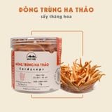  Đông Trùng Hạ Thảo DalatFarm - Hộp 15 g 