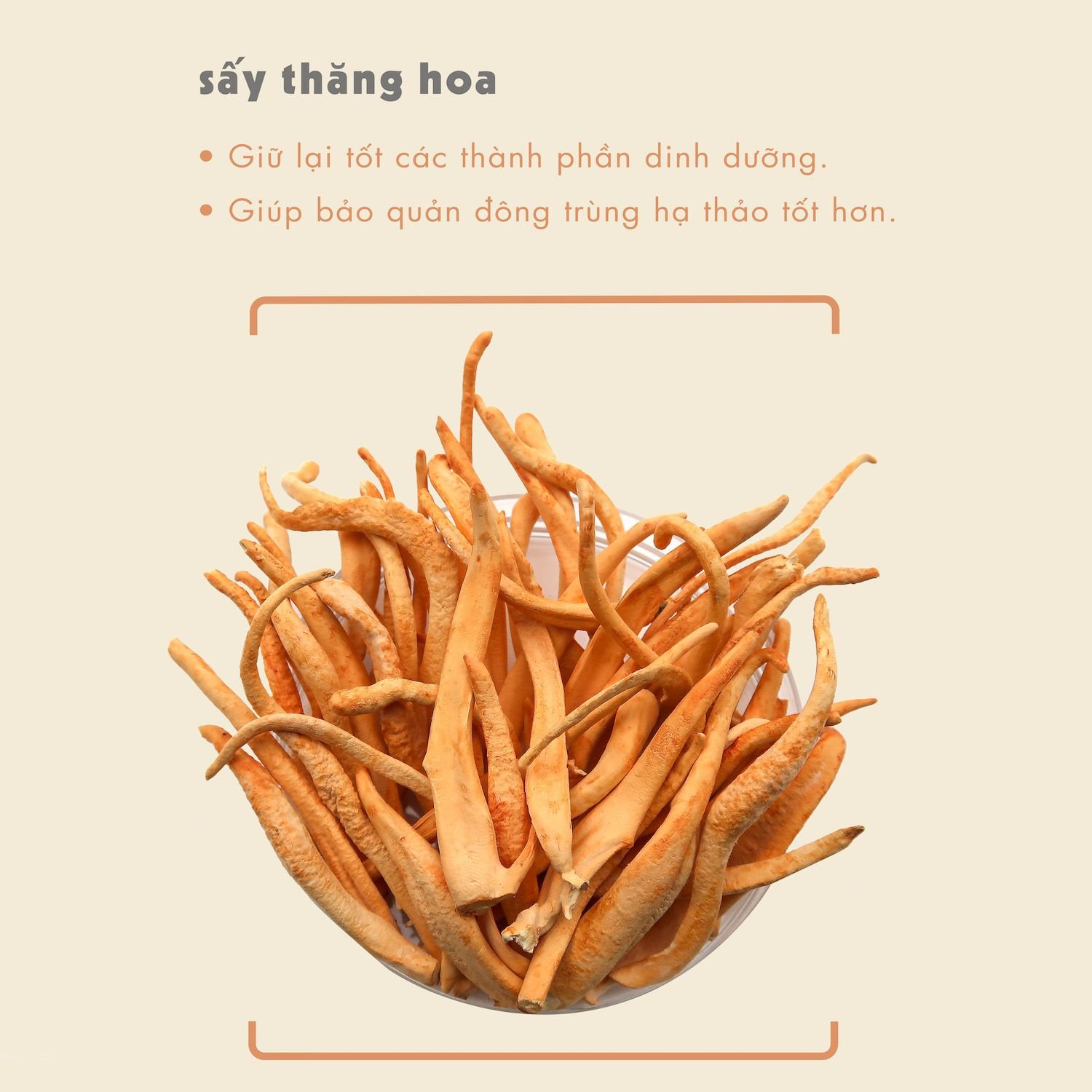  Đông Trùng Hạ Thảo DalatFarm - Hộp 15 g 