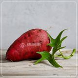  Khoai Lang Tím Sấy Giòn - Túi 250 g 