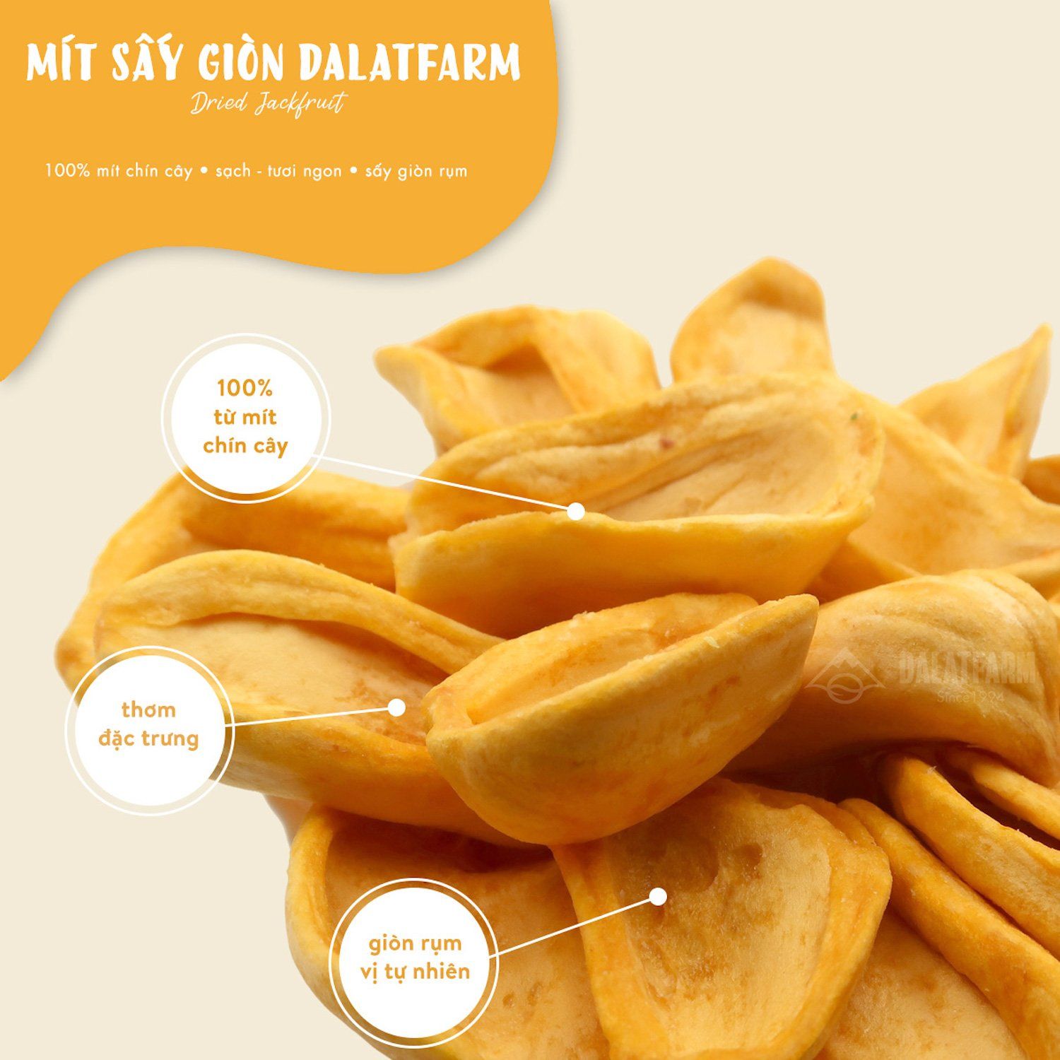  Mít Sấy Giòn DalatFarm - Hộp 160 g 