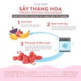  Dâu Tây Sấy Giòn - Hộp thiếc 60g 