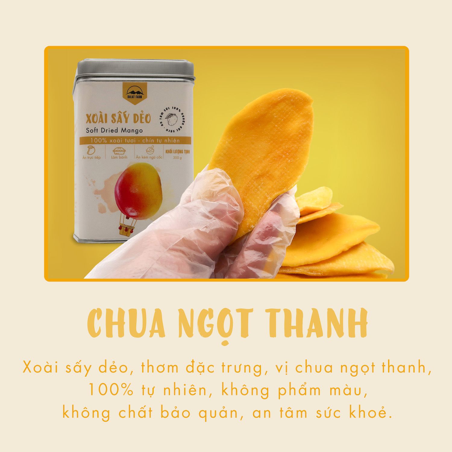  Xoài Sấy Dẻo - Hộp thiếc 300 g 