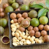  Hạt Macca DalatFarm - Hộp 200 g 