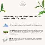  Trà Đen Nguyên Lá - Túi 500 g 