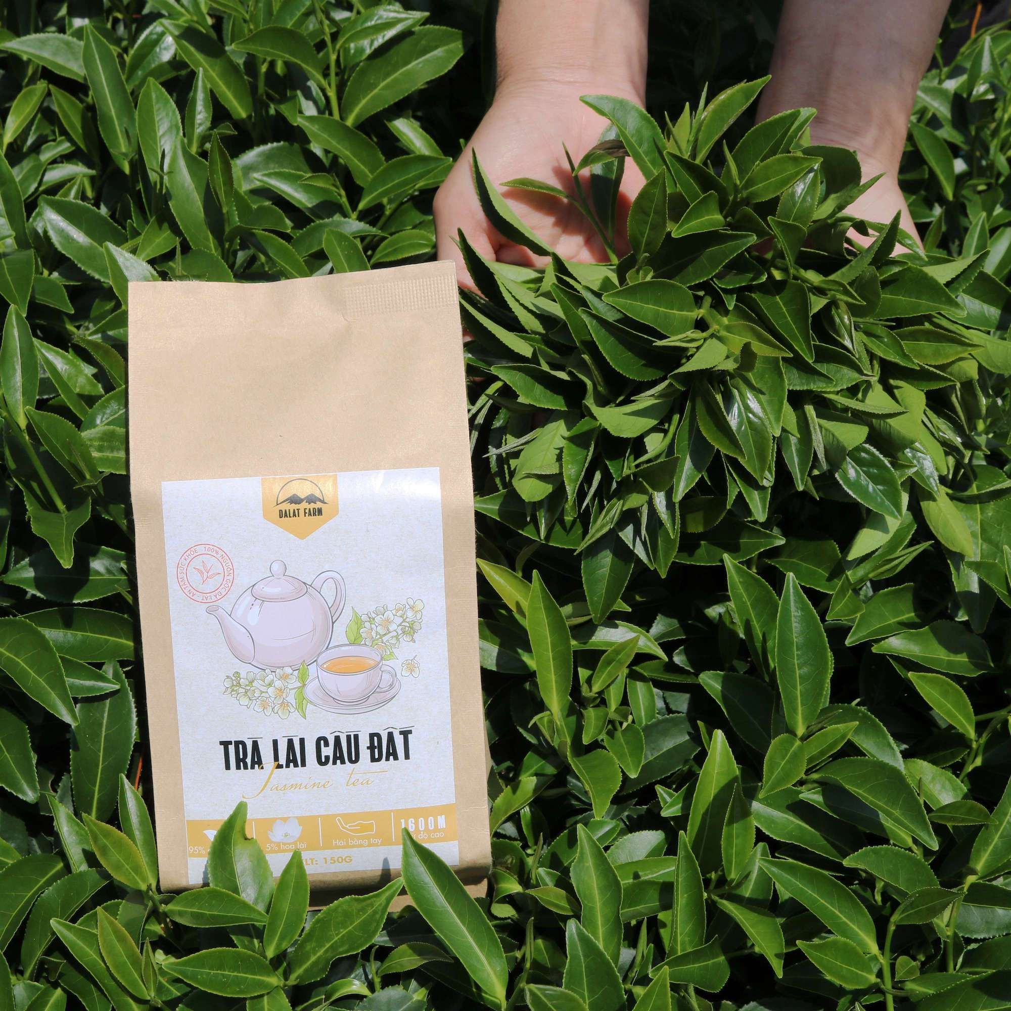  Trà Lài Cầu Đất - Túi 150 g 