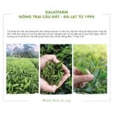  Trà Oolong Kim Tuyên Cầu Đất  - Hộp 220 g 