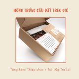  Hồng Treo Gió DalatFarm - Hộp 500g 