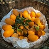  Xoài Sấy Muối Ớt - Hộp 300g 