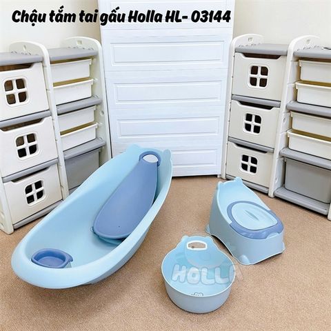 Chậu tai gấu xanh Holla