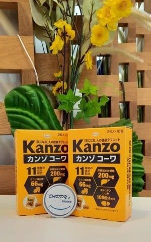 Viên giải rượu Kanzo (2x10)