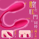  X2 EGG Vibrator 