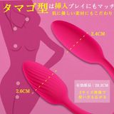  X2 EGG Vibrator 