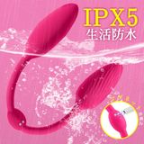  X2 EGG Vibrator 