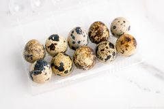 EG-Quail Egg