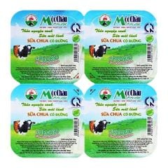 DY- Sweetened Yogurt Mộc Châu Milk 100g