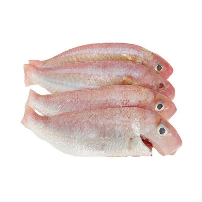 ME.F- Threadfin Bream Fish (Cá đổng tươi)