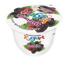 DY- Mulberry Yogurt Dalat milk 100g ( box )