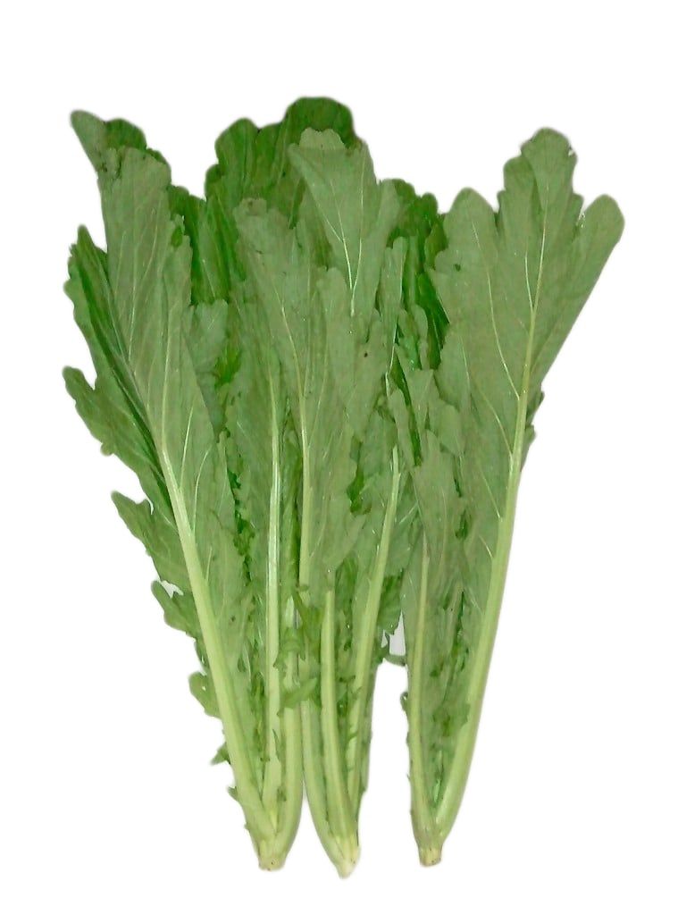 VE.V- Hydroponic Cattail (Cải mèo thủy canh) -NT