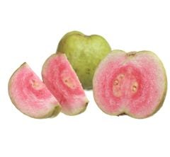 FR.L- Guava (Ổi ruột đỏ) -NT