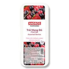 VEF- Frozen Assorted Berries Andros 600g